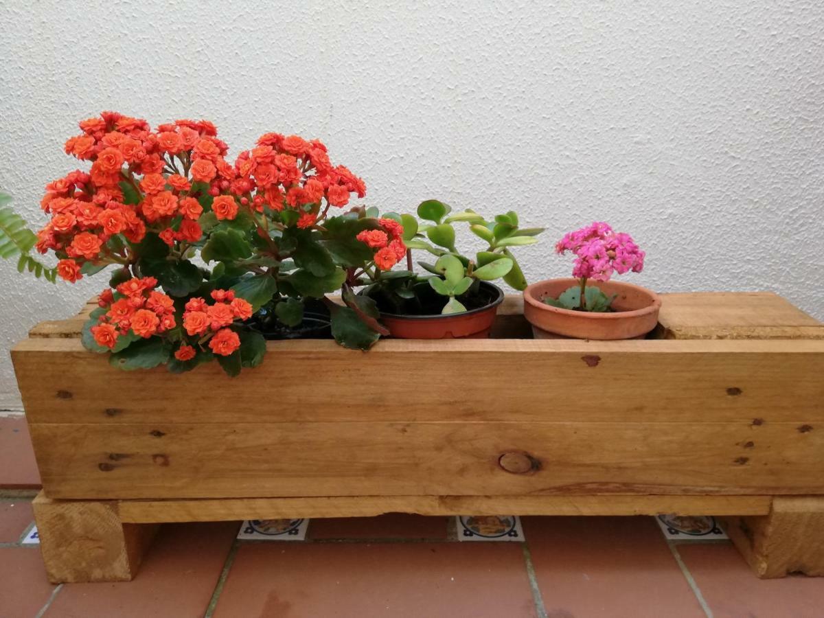 Apartamentos Coralba - Duplex Bahia De Cadiz San Fernando Extérieur photo